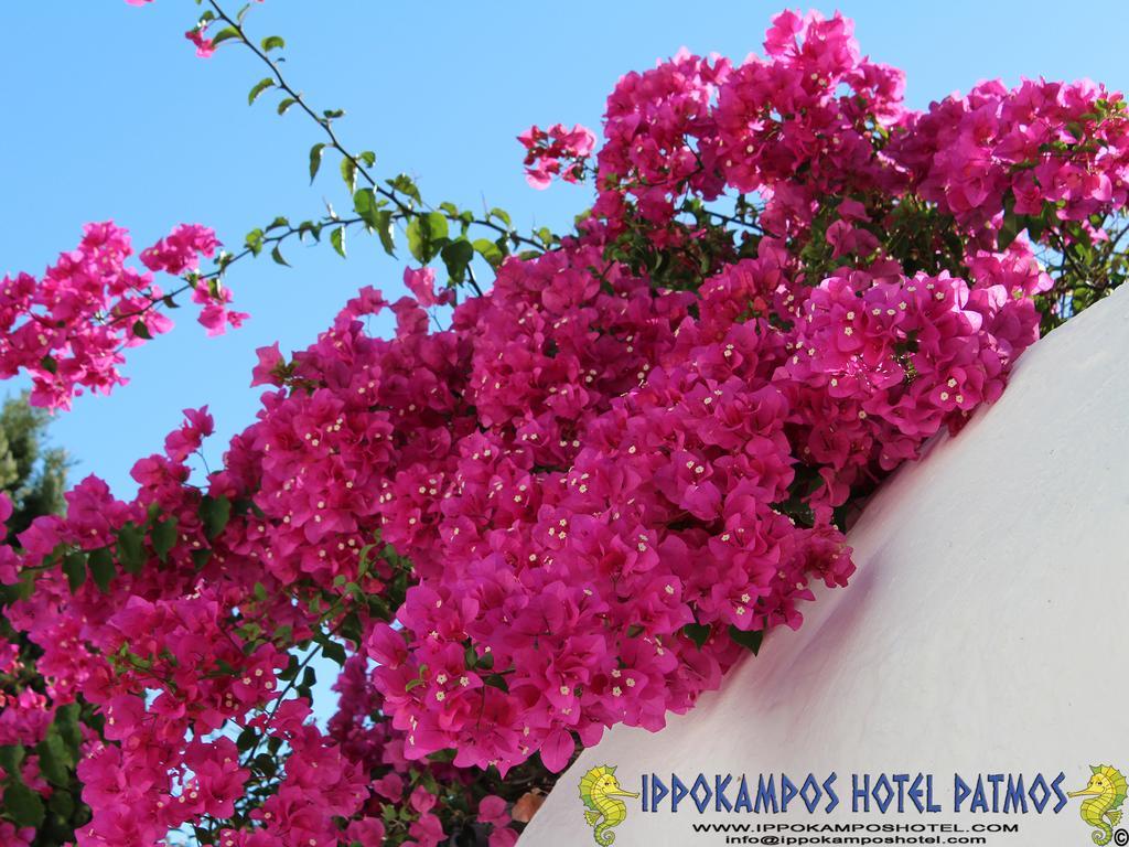 Ippokampos Hotel Skala  Ngoại thất bức ảnh